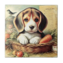 Suche nach beagles fliesen Niedlicher beagle