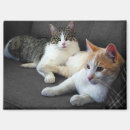 Suche nach die des paares magnete Jede person