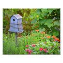 Suche nach vogelhaus poster Blume