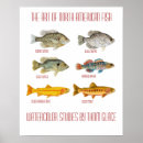 Suche nach fische kunst Forelle