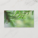 Suche nach immergrün visitenkarten Wald