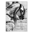 Suche nach reiten kleine grußkarten Western