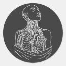 Suche nach anatomischer aufkleber Medizin