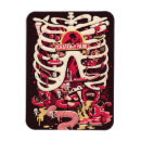 Suche nach anatomie magnete Cartoon