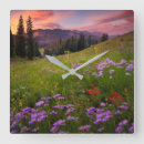 Suche nach colorado wanduhren Natur