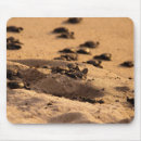Suche nach entschlossenheit mousepads Strand