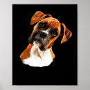 Suche nach boxer hunde poster Mops