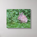 Suche nach häschen kunst Grün