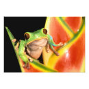 Suche nach verstecken poster Blume