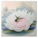 Suche nach kolibri fliesen Blume