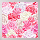 Suche nach rosa weiße rosen poster Schön