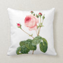 Suche nach redoute kissen Rose