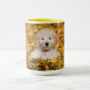 Suche nach herbstlaub tassen Hund