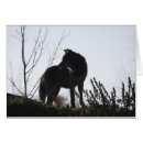 Suche nach wolf silhouette postkarten Wölfe
