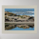Suche nach driftwood poster Treibholz