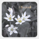 Suche nach makro aufkleber Blume
