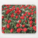 Suche nach weiße tulpen mousepads Quelle