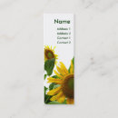 Suche nach sonne mini visitenkarten Blume