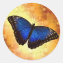 Suche nach tropische schmetterlinge aufkleber Insekt