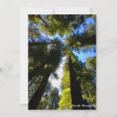 Suche nach redwood karten Natur