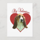 Suche nach basset jagdhund karten Zucht