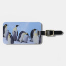 Suche nach sind sie mein pinguin gepäckanhänger Küste