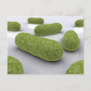 Suche nach mikrobiologie postkarten Mikrobe