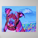 Suche nach pit bull poster Amerikaner