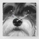 Suche nach miniatur wanduhren Schnauzer