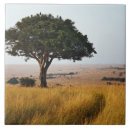 Suche nach mara fliesen Masai mara nationalpark