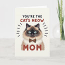 Suche nach katzenaugen karten Für alle