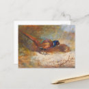 Suche nach fasan postkarten Tierwelt