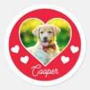 Suche nach labrador foto aufkleber Für alle