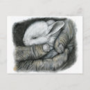 Suche nach baby hand postkarten Kaninchen