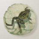 Suche nach die amphibien kissen Frosch