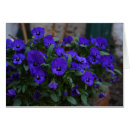 Suche nach blumentöpfe karten Pflanze