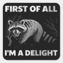 Suche nach kokon aufkleber Raccoon