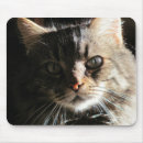 Suche nach das gesicht mousepads Freund