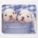 Suche nach eimer mousepads Niedlich