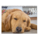 Suche nach arbeit für mich kalender Hunde