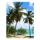 Suche nach palmtrees Palme