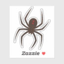 Suche nach spinne schwarzen witwe aufkleber Netz