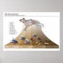 Suche nach die käfer poster Fliegen