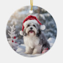 Suche nach havanese ornamente Welpe