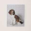 Suche nach springer spaniel puzzle Tiere