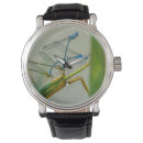 Suche nach damselflies Libelle
