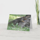 Suche nach gefühl für karten Eichhörnchen