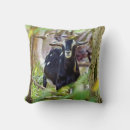 Suche nach weiße katze kissen Jede person