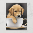 Suche nach hündchen postkarten Goldene retriever