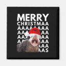 Suche nach opossum magnete Winter